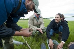 Journalists learning about environmental science and coastal ecology in hands-on field work