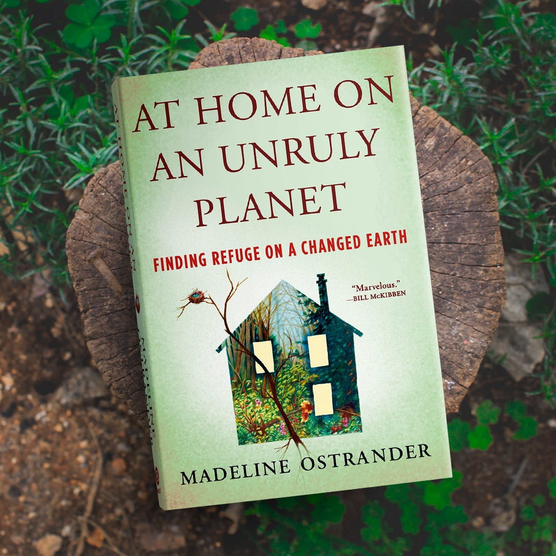 The book “At home on an unruly planet” atop a wooden stump